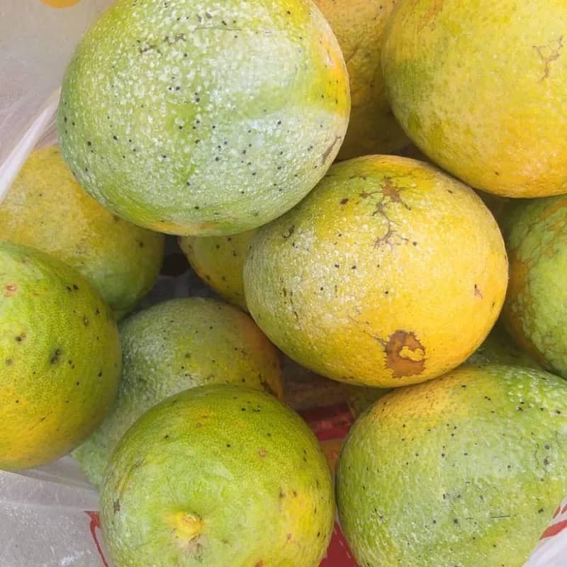 Imagem da campanha Rifa