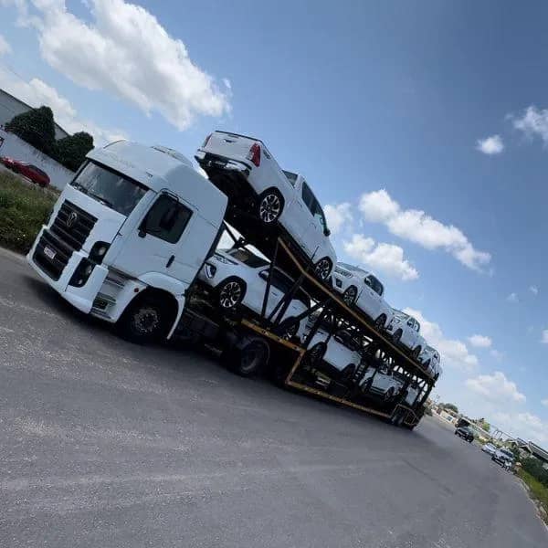 Imagem da campanha EDIÇÃO 27 - CEGONHA MILIONÁRIA