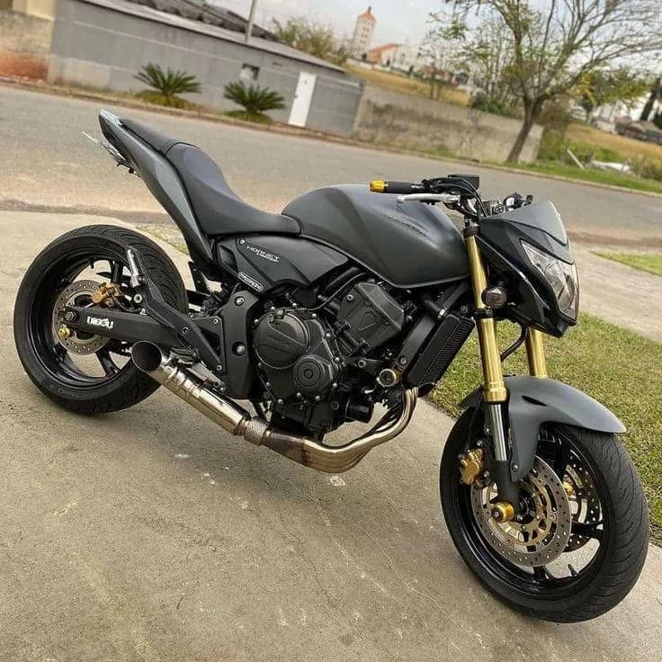 Imagem da campanha Hornet 2023