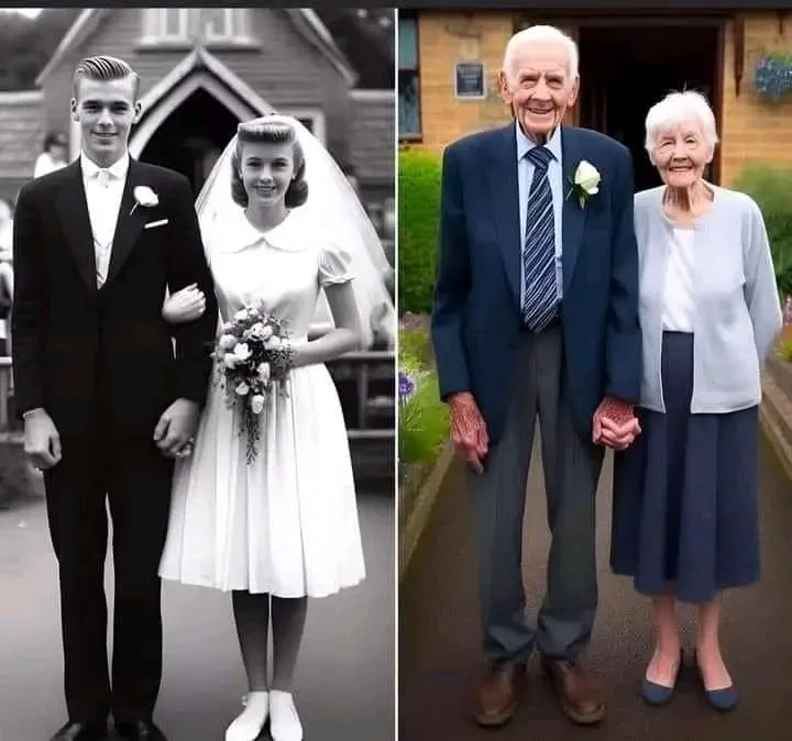 Imagem da campanha Interinidade