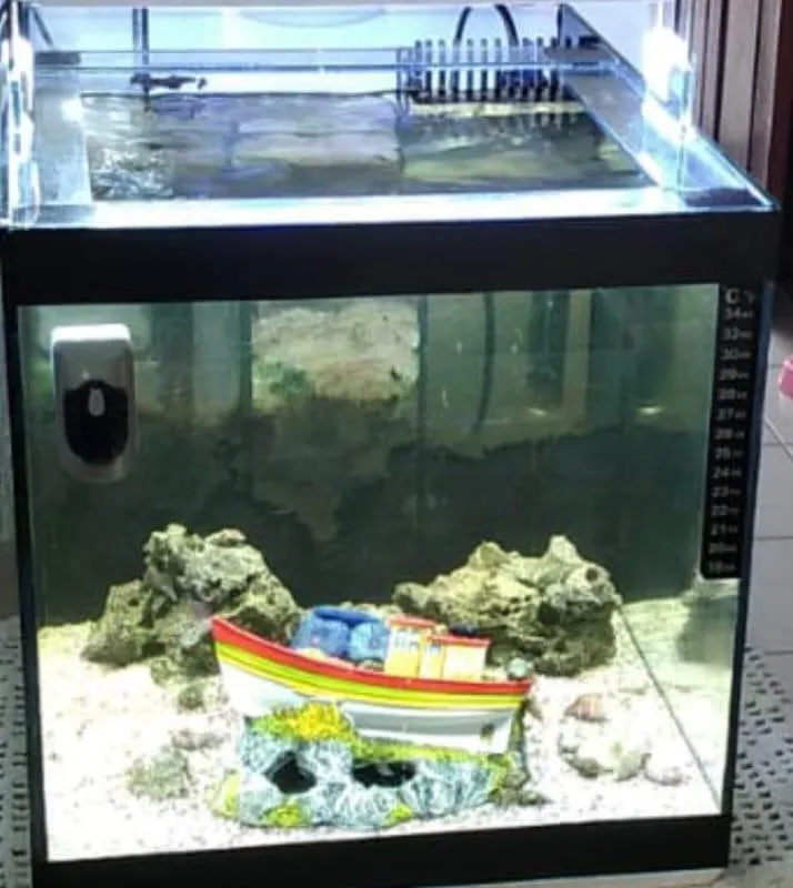 Imagem da campanha Aguario agua salgada compelto