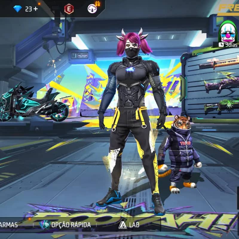 Imagem da campanha conta ff