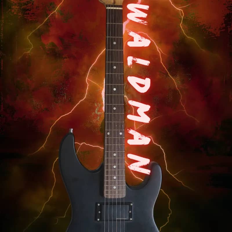 Imagem da campanha Guitarra Waldman