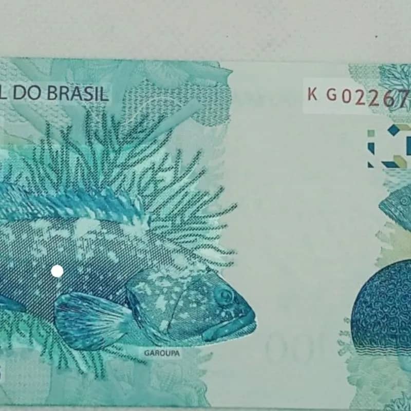 Imagem da campanha Beatriz Leite Peçanha da Silveira