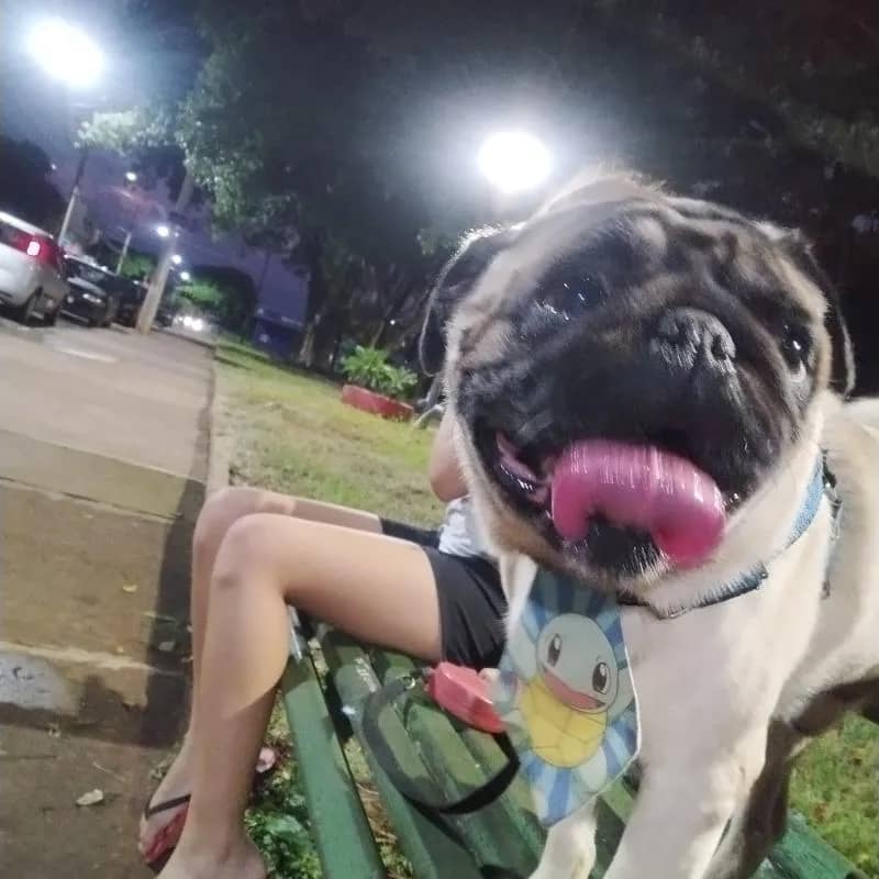 Imagem da campanha Ajude o Levy e concorra à R$300,00 em produtos Boticário. E 1 cento de doces, sabores (à consultar).