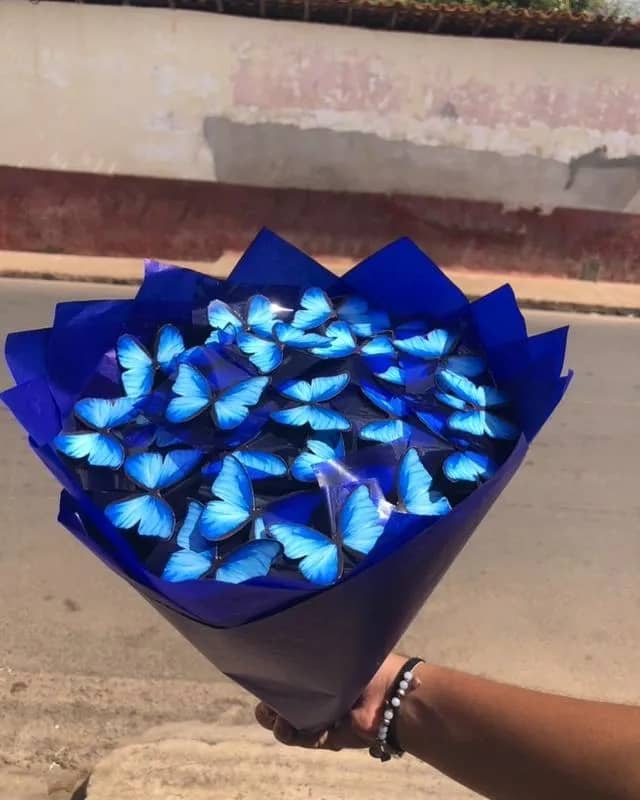 Imagem da campanha Sorte For love 💙