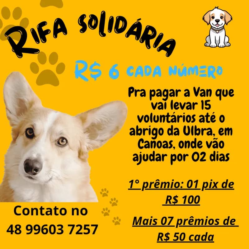 Imagem da campanha Rifa solidária pra levar os voluntários até Canoas