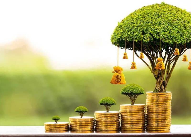 Imagem da campanha Receba mensagem