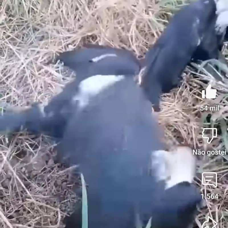 Imagem da campanha Teste