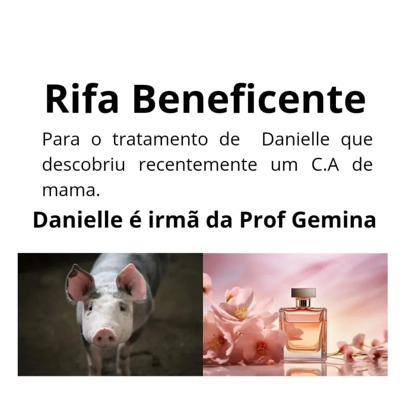 Imagem da campanha Rifa Beneficente Tratamento de C.A Danielle