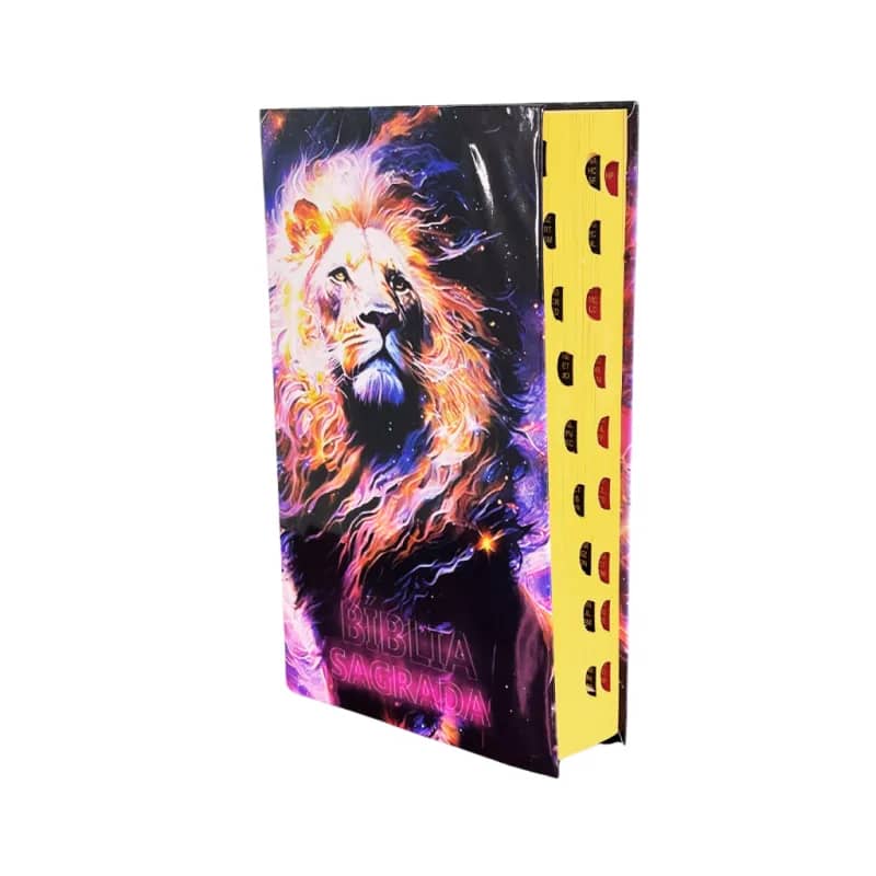 Imagem da campanha Bíblia leoa