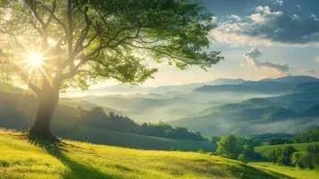 Imagem da campanha A