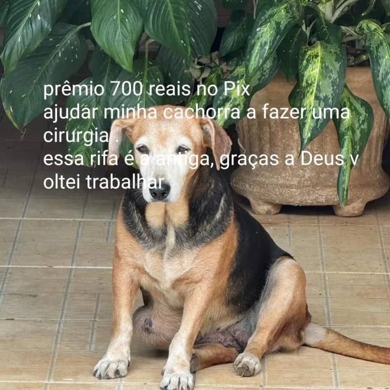 Imagem da campanha Prêmio Pix 💲700,00 🏆