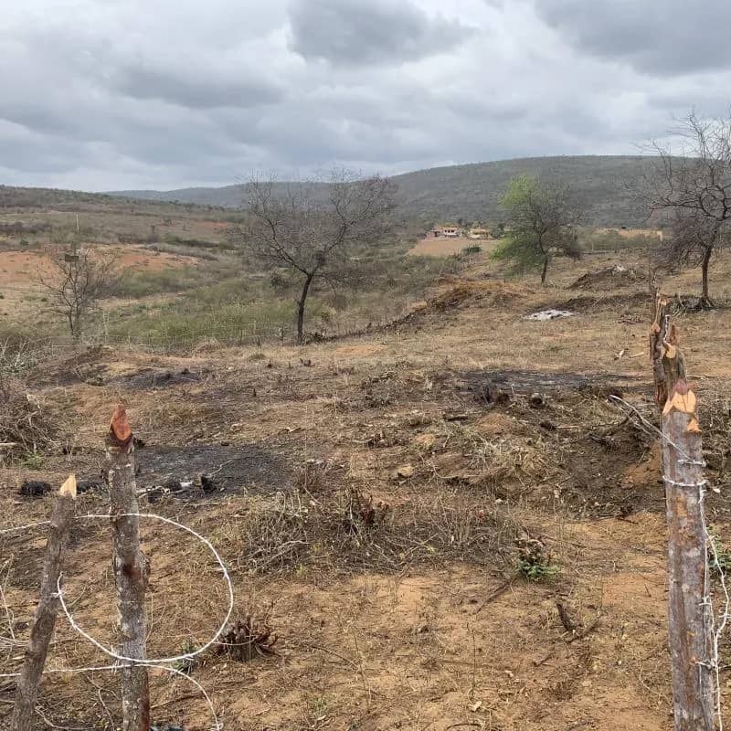 Imagem da campanha Terreno na Bahia