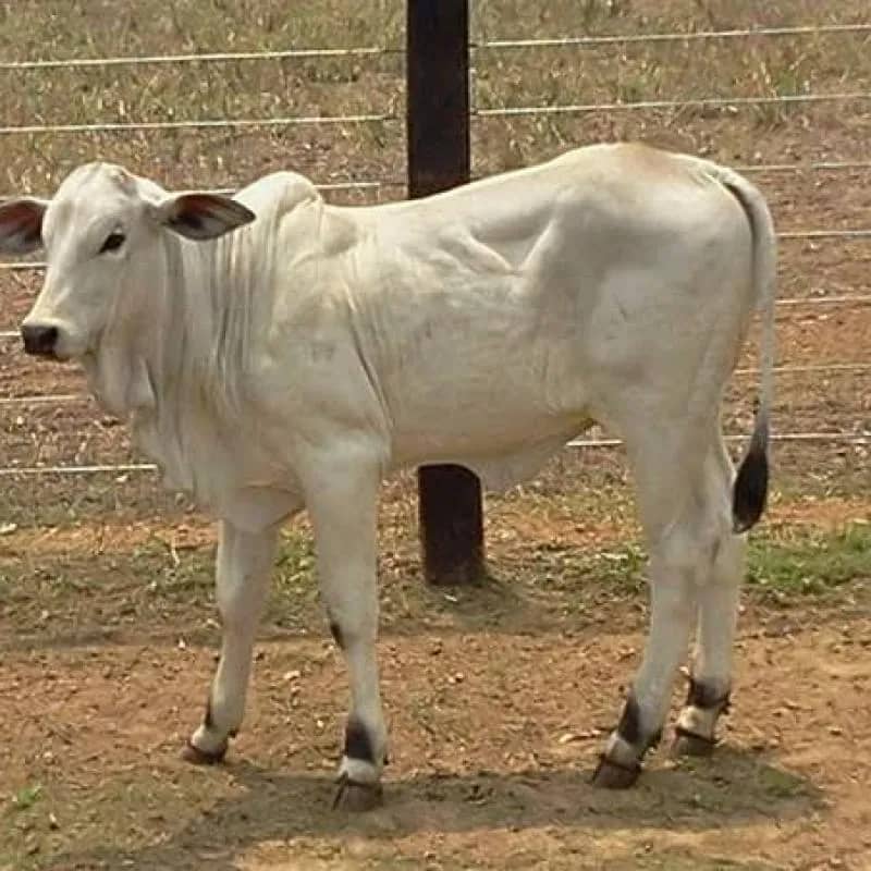 Imagem da campanha TODOS CONTRA O CÂNCER