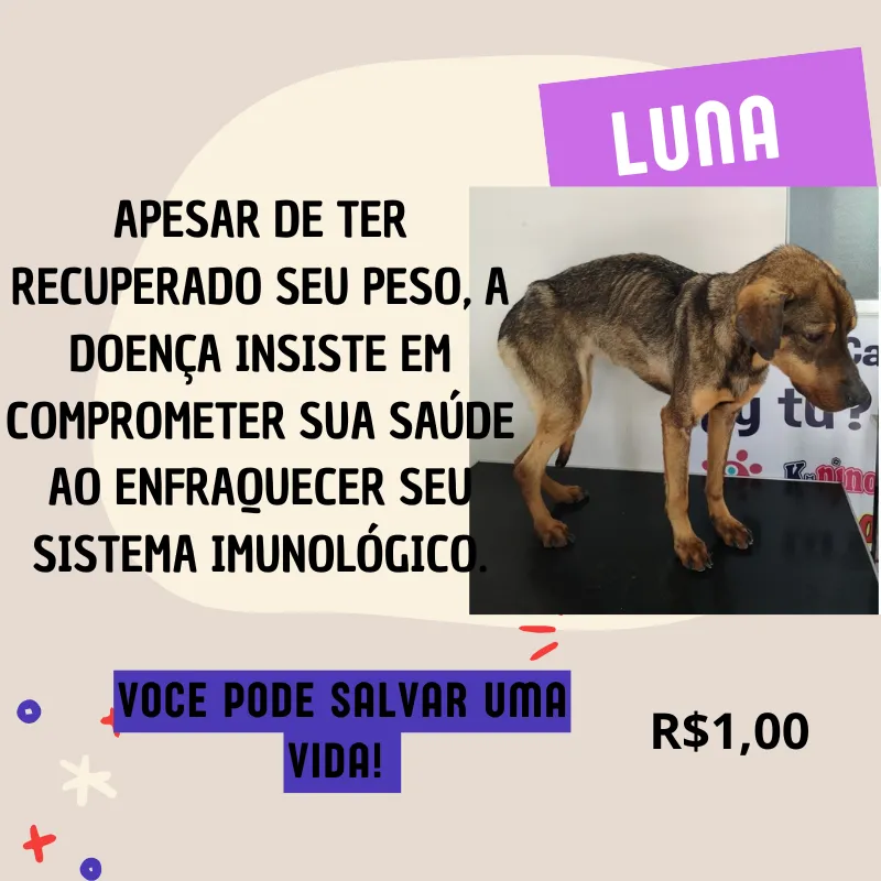 Imagem da campanha Oi, pessoal! Meu nome é Juliana da Silva e estou aqui para pedir a ajuda de vocês para cuidar da minha amada cadelinha.