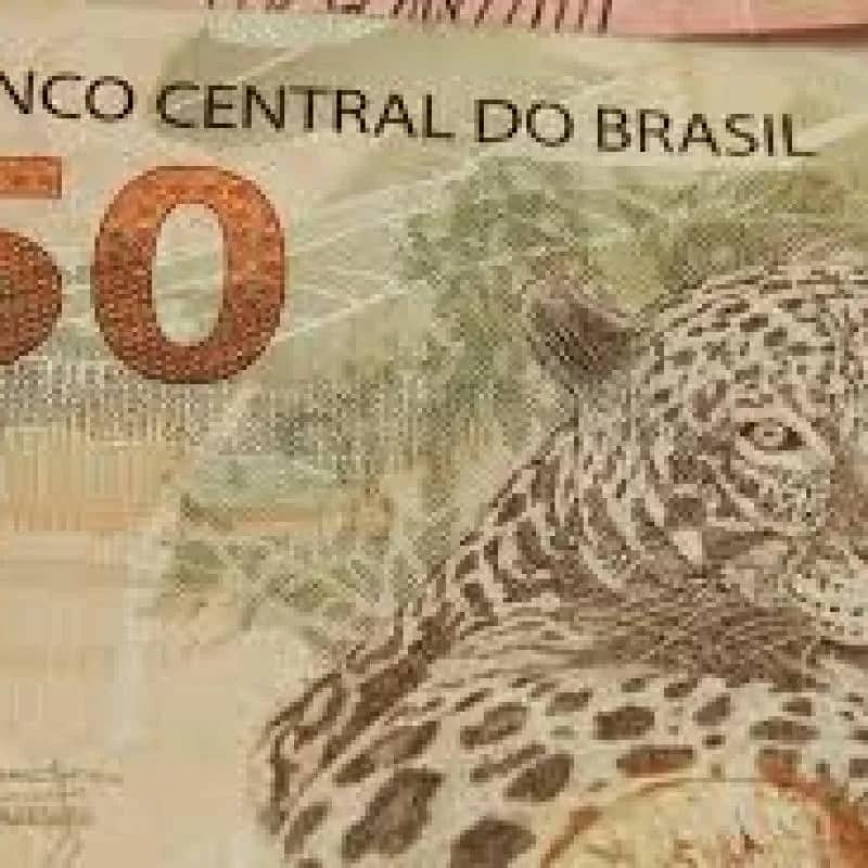 Imagem da campanha 50tão no P!X