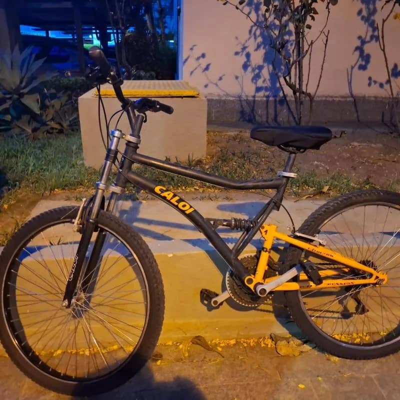 Imagem da campanha G BICICLETA DO LEO