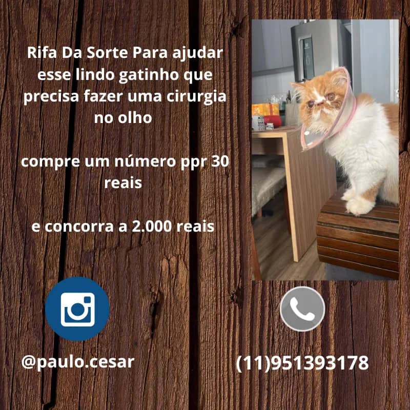 Imagem da campanha RIFA DO SMOLKE