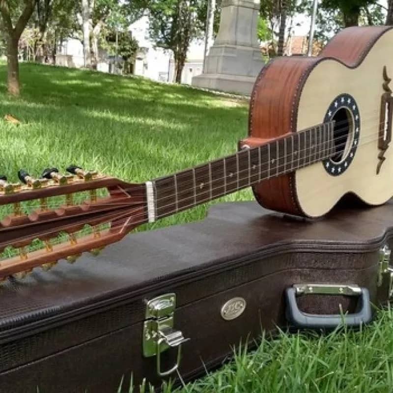 Imagem da campanha Viola Caipira de Luthier