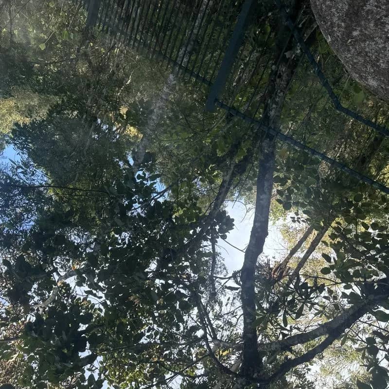 Imagem da campanha Casa nova sonho realizado