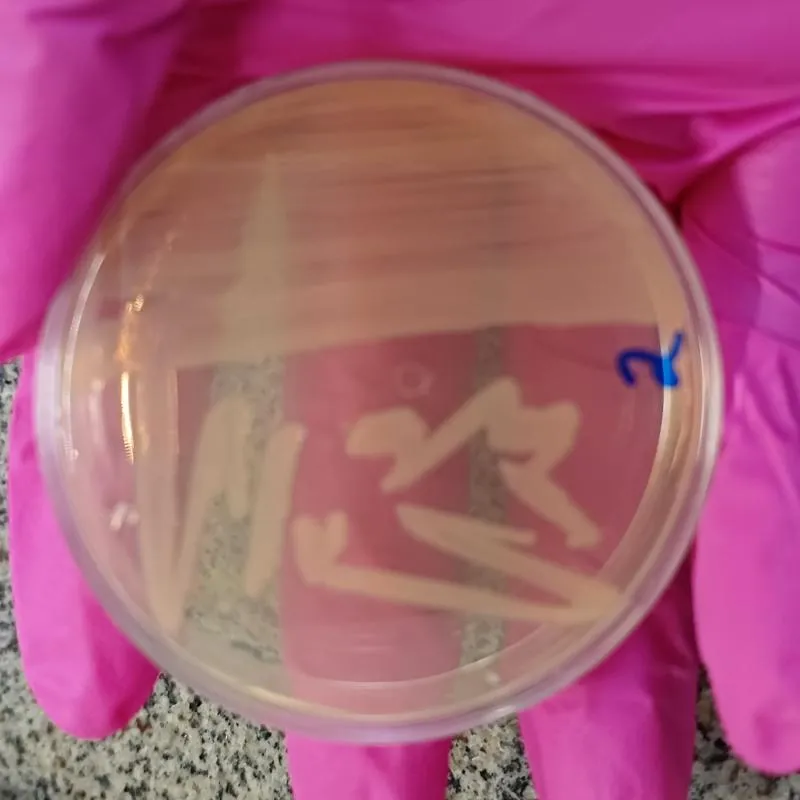 Imagem da campanha Rifa para pagamento da minha faculdade