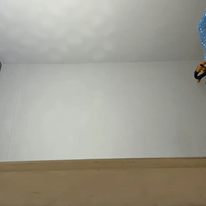 Imagem da campanha Ação Celia