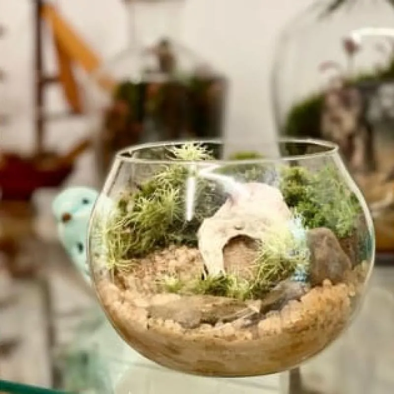 Imagem da campanha Rifa Cintilografia Wilimar