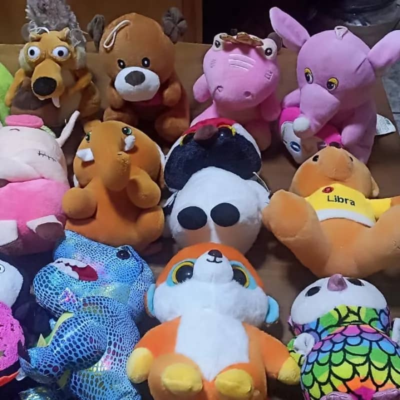 Imagem da campanha rRifa de pelucias para comprar aparelho de fisioterapia