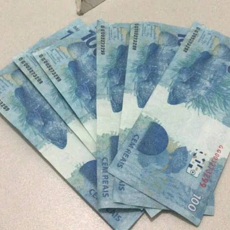 Imagem da campanha 300,00