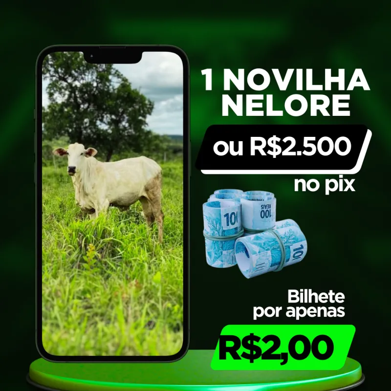 Imagem da campanha 1 NOVILHA NELORE ou R$2.500 REAIS NO PIX