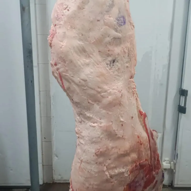 Imagem da campanha MEIO BOI