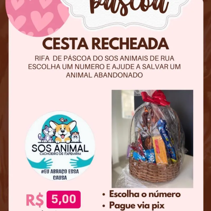 Imagem da campanha Rifa da Páscoa