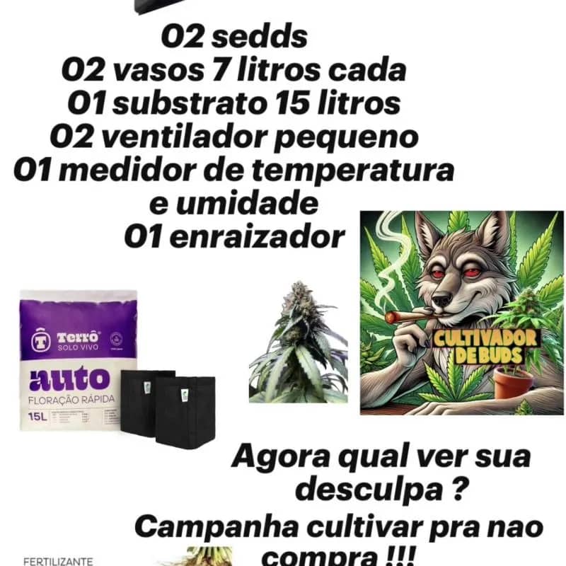 Imagem da campanha Cultivar pra não comprar👨🏿‍🌾🪴🍁