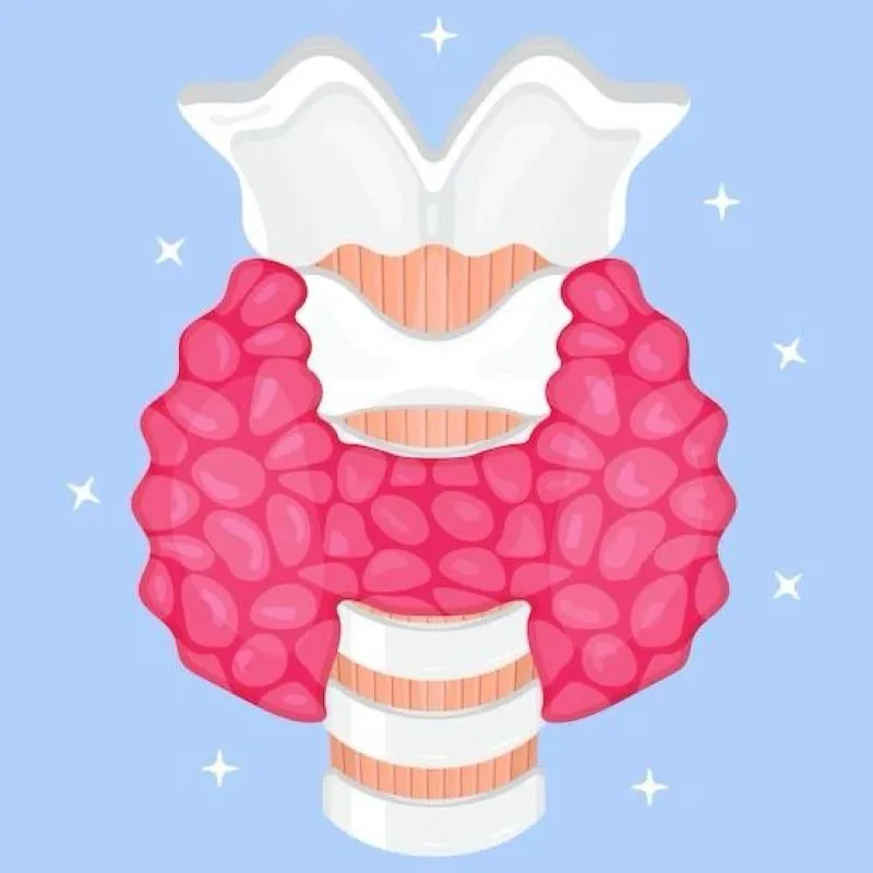 Imagem da campanha Milagre Da Solidariedade