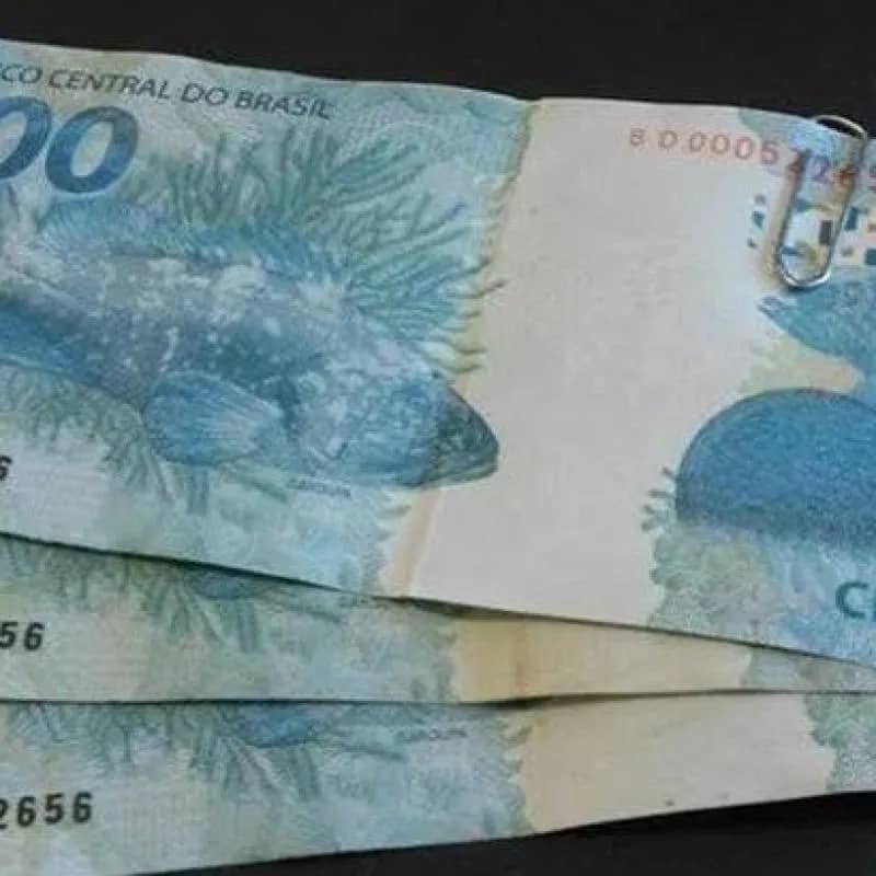 Imagem da campanha Campanha Solidária