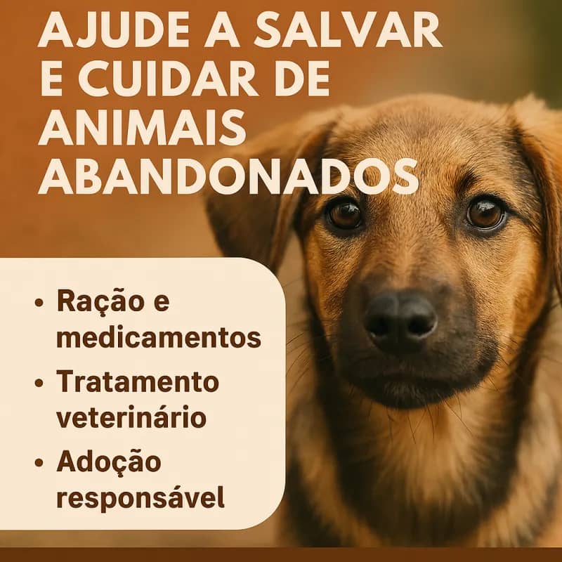 Imagem da campanha Ajude a Salvar e Cuidar de Animais Abandonados