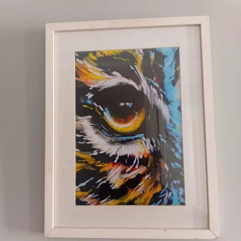 Imagem da campanha RIFA SOLIDARIA PARA MAYA SCHNEYDER