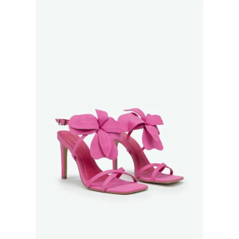 Imagem da campanha Campanha de arrecadação