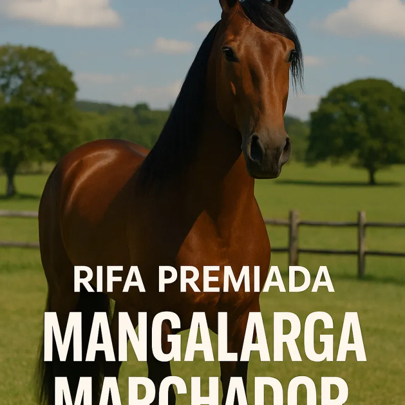 Imagem da campanha Já pensou em ter um cavalo Mangalarga Marchador de elite