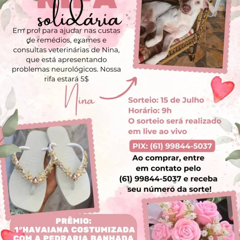 Imagem da campanha ajudar nas custas de remédios, exames e consultas veterinárias de Nina