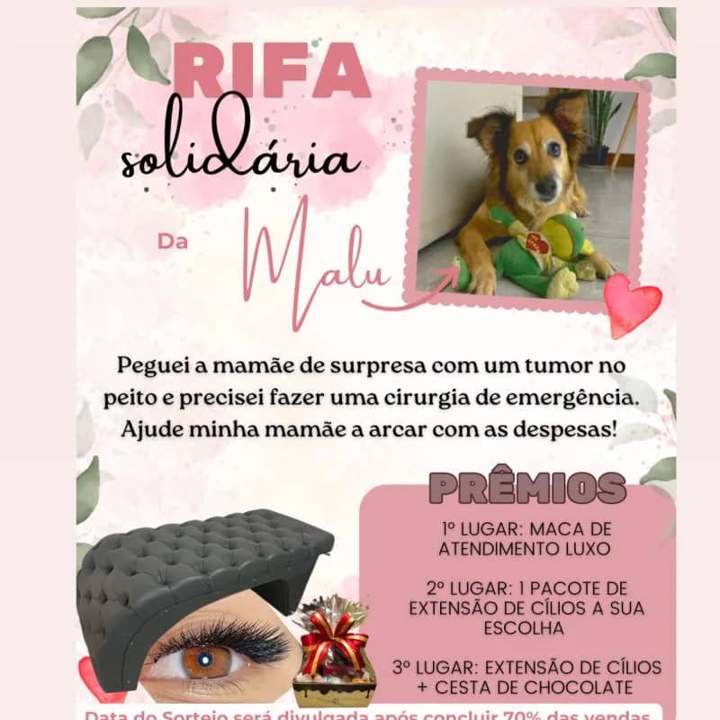 Imagem da campanha Rifa solidária da Malu