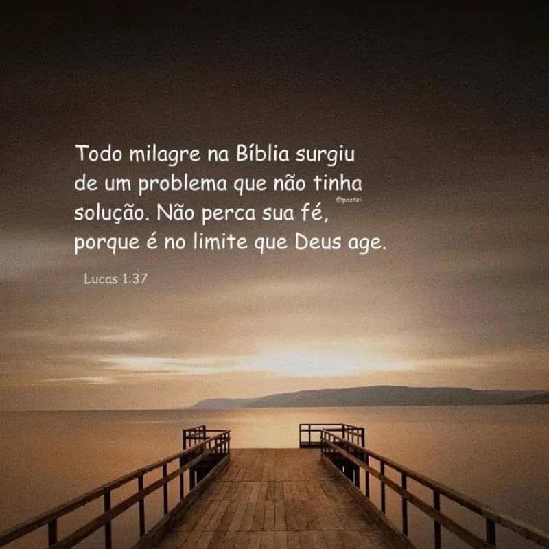 Imagem da campanha Campanha praia limpa