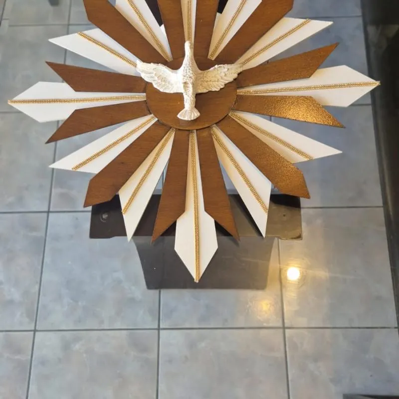 Imagem da campanha Ação entre amigos - Amigos São Anjos