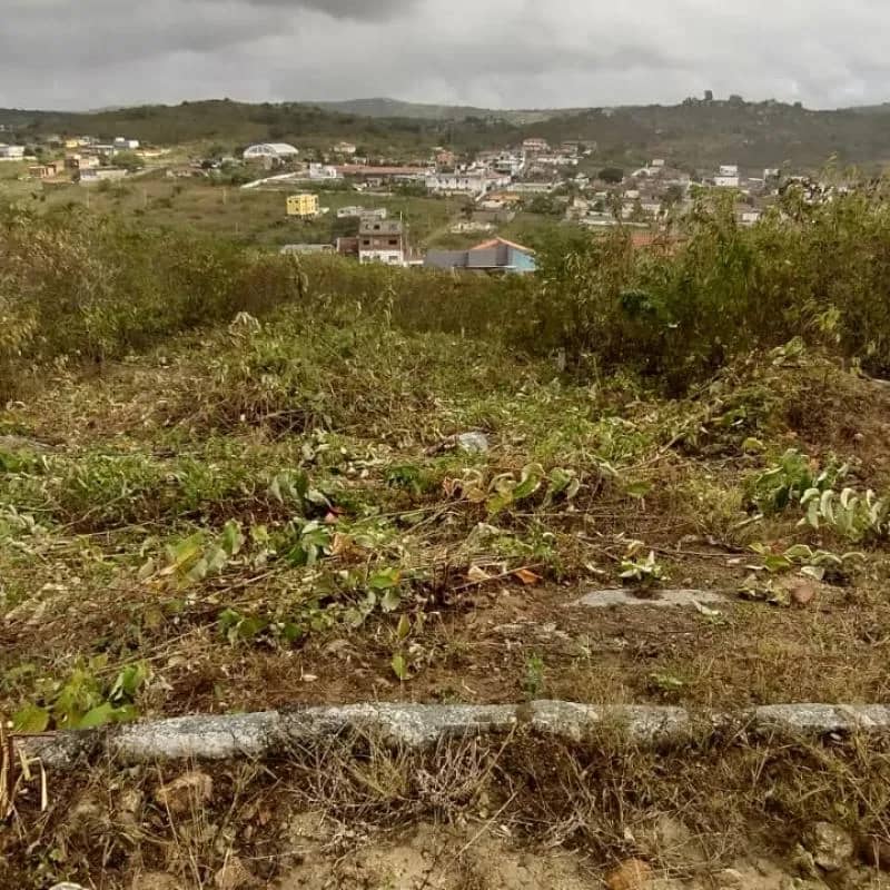 Imagem da campanha Sorteio de um terreno avaliado a 25 mil