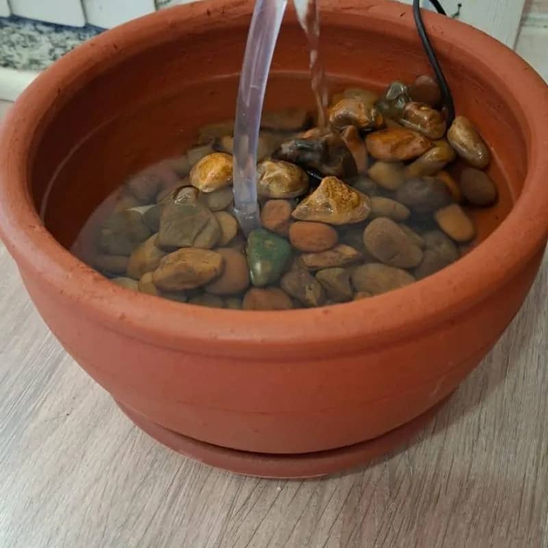 Imagem da campanha Sorteio Beneficente de Fonte para Animais