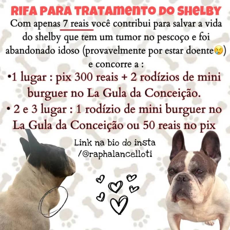 Imagem da campanha Ajude o Shelby