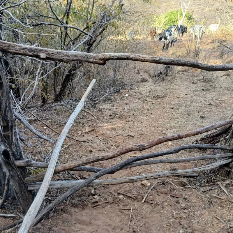 Imagem da campanha 10000