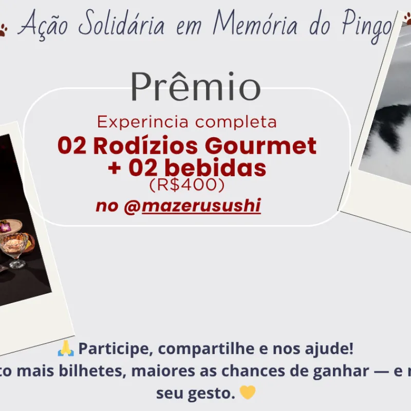 Imagem da campanha 🐾 Ação Solidária em Memória do Pingo 🐾