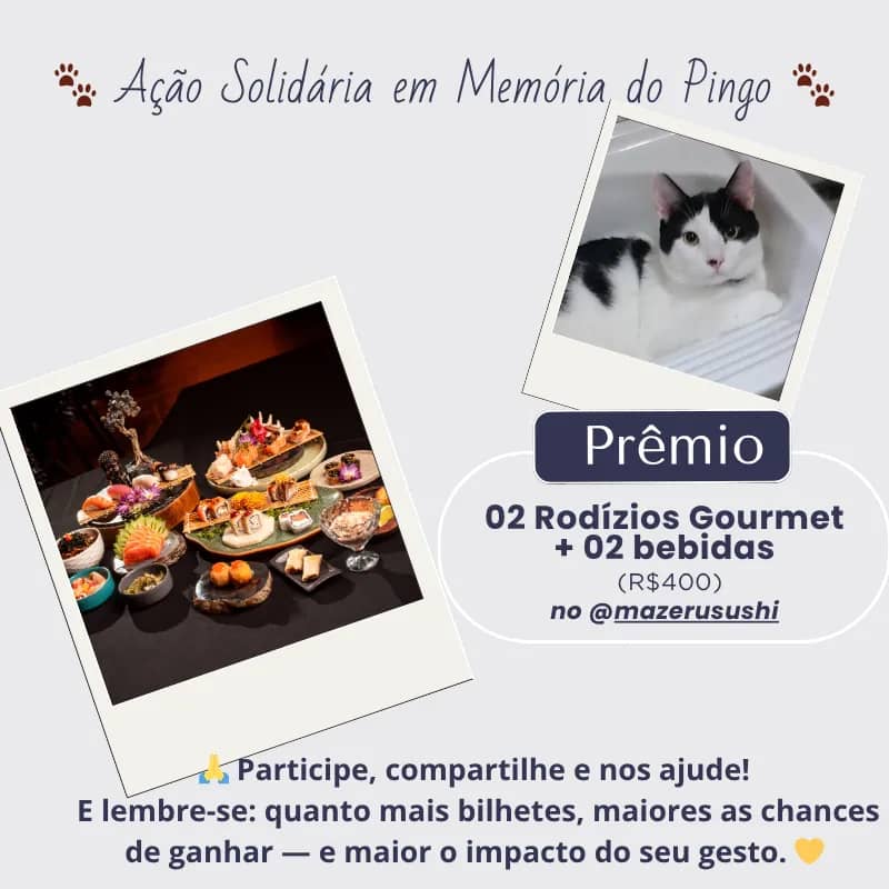 Imagem da campanha Ação Solidária em Memória do Pingo